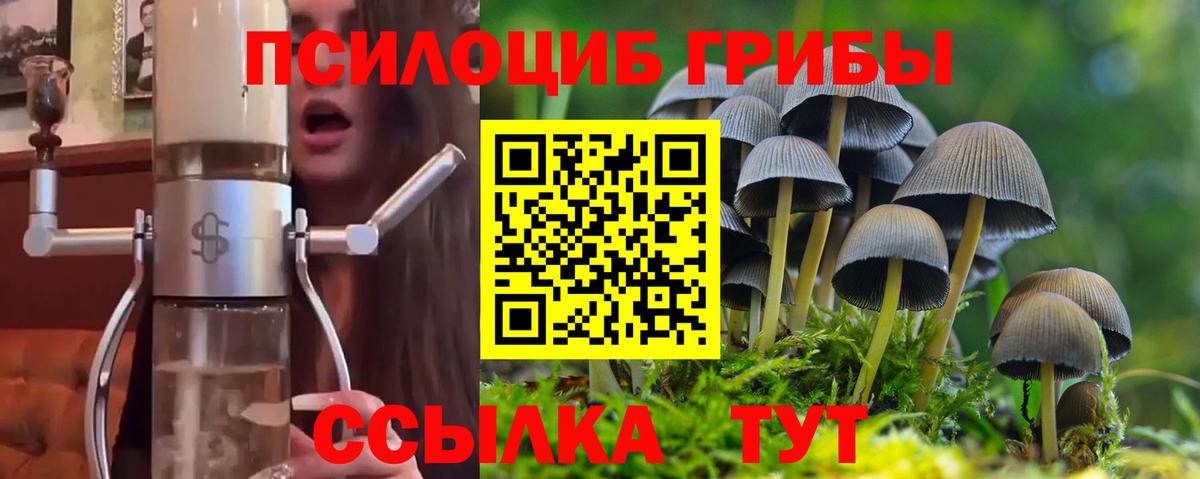 Псилоцибиновые грибы MAGIC MUSHROOMS  Вход с VPN  Кудрово 